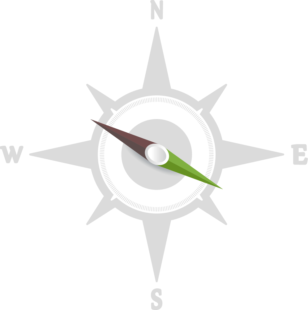 compass navigotor icon